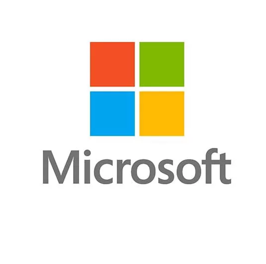 WINDOWS SERVER CAL 2019 COEM (R18-05805-LIC)